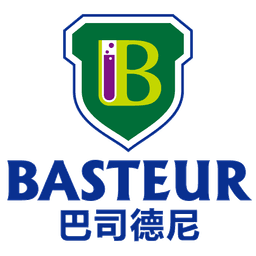 巴司德尼综合能源 logo